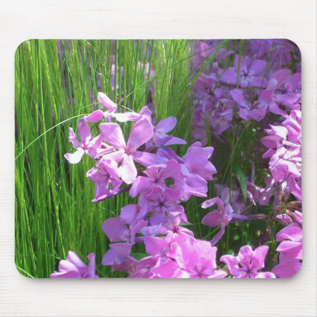 Mousepad Floral de Verão de Flox e Grama Rosa (Frente)