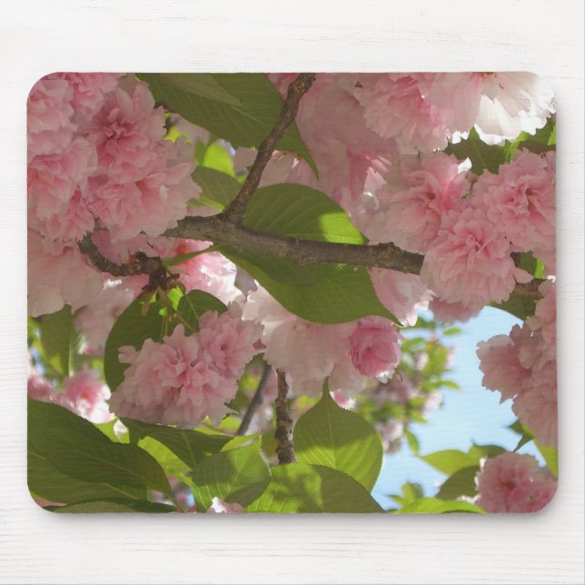 Mousepad Floral Primavera da Árvore III da Cherry com duas  (Frente)