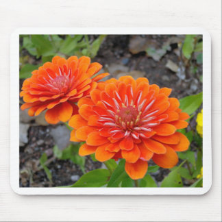 Mousepad Flores alaranjadas do Zinnia