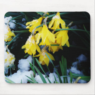 Mousepad Flores amarelas Daffodils na neve