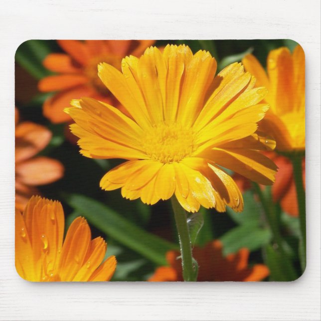 Mousepad Flores Amarelas Flores Arte Paz Destino do Amor (Frente)