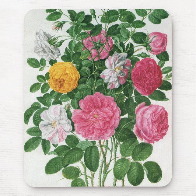 Mousepad Flores Antigas em Flor, Rosas de Jardim da Primave (Frente)