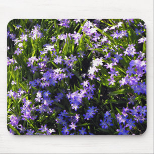 Mousepad Flores azuis do primavera do Squill