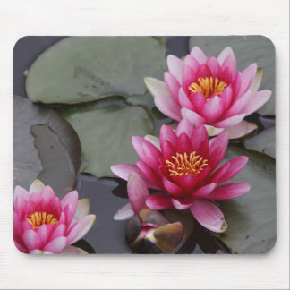 Mousepad Flores bonitas do lago na almofada do mause