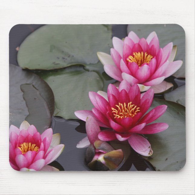 Mousepad Flores bonitas do lago na almofada do mause (Frente)