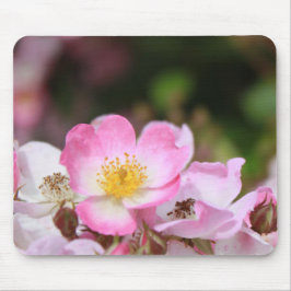 Mousepad Flores bonito, cor-de-rosa, rosa silvestre, para s