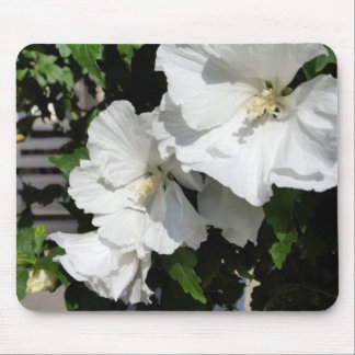 Mousepad flores brancas acolhedoras