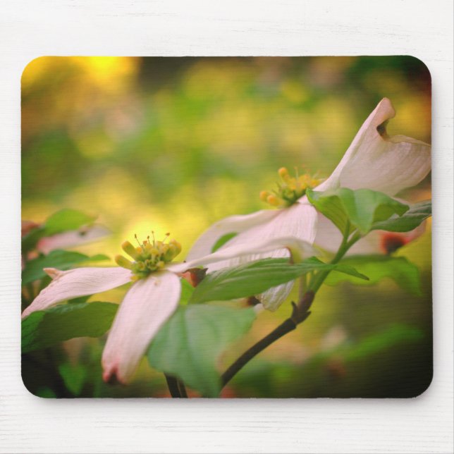 Mousepad Flores Brancas De Dogwood (Frente)