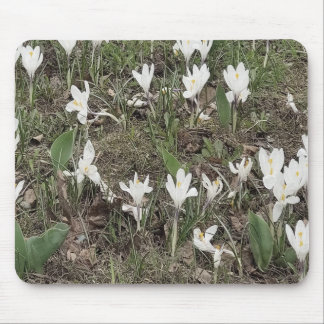 Mousepad Flores Brancas de Neve na Grama de Primavera
