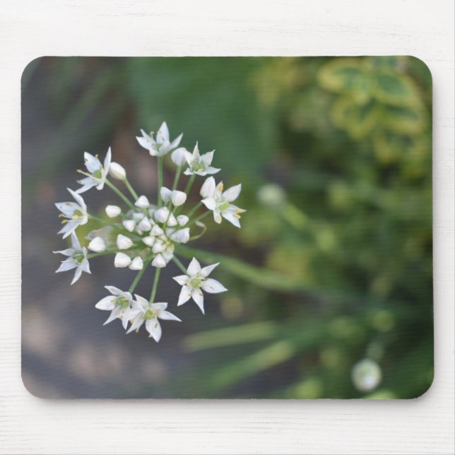 Mousepad Flores Brancas Delicam Foto Floral Flor (Frente)