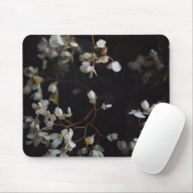 Flores brancas melancólicas em fundo escuro