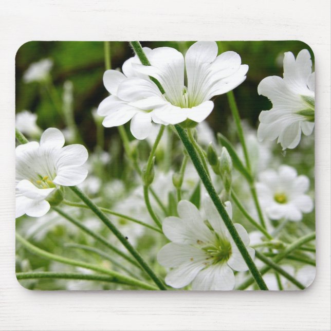 Mousepad Flores Brancas Simples (Frente)