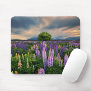 Mousepad Flores   Campo de linha na Nova Zelândia