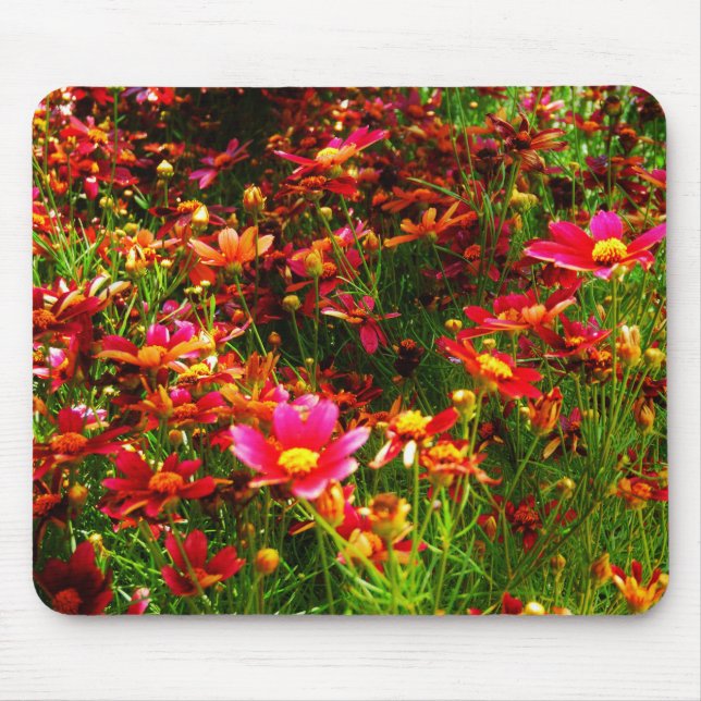 Mousepad Flores cor-de-rosa-claro e amarelas Daisy Wild (Frente)