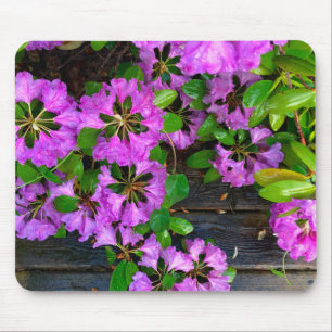 Mousepad Flores cor-de-rosa-Elegante azáleas rosa flores co