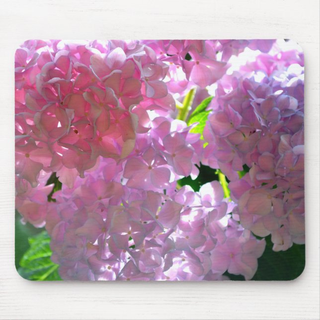 Mousepad Flores cor-de-rosa Elegante flores hydrangeas (Frente)