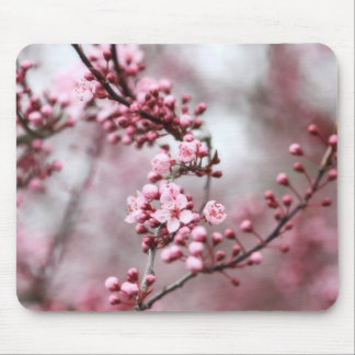 Mousepad Flores cor-de-rosa na foto do primavera