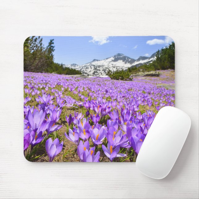 Mousepad Flores | Crocus Pirin Mountain Park Bulgária (Com mouse)