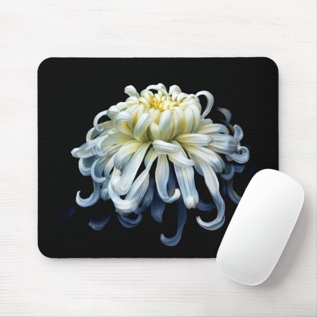 Mousepad Flores | Crolisântemo branco (Com mouse)