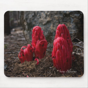 Mousepad Flores da neve