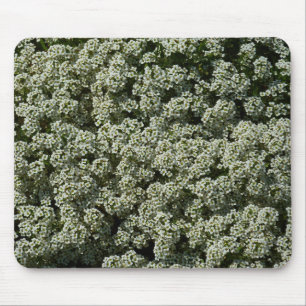 Mousepad Flores de Alyssum Doce Floral Branco