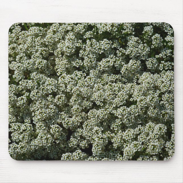 Mousepad Flores de Alyssum Doce Floral Branco (Frente)