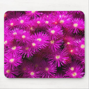 Mousepad Flores de Aster Rosa