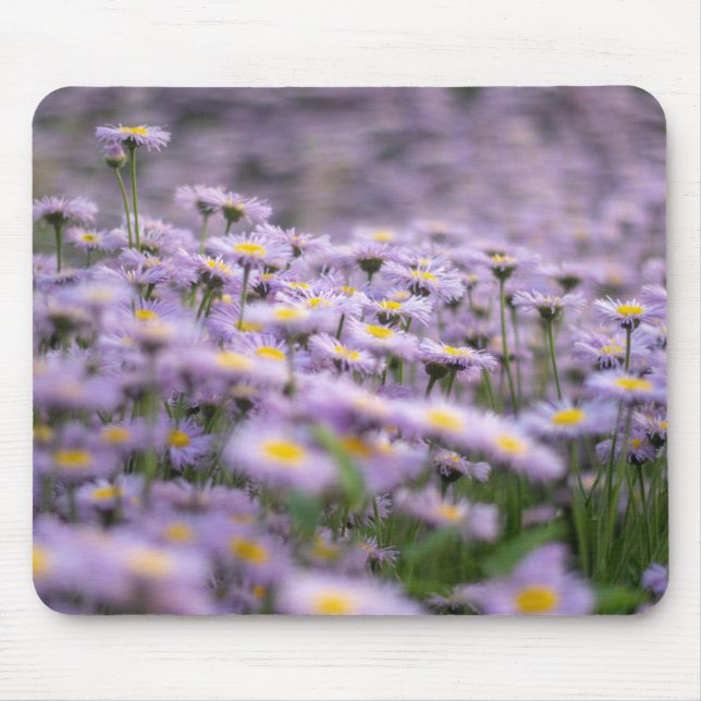 Mousepad Flores de Aster Roxo (Frente)