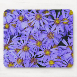 Mousepad Flores de Aster Roxo no Jardim do RHS Wisley