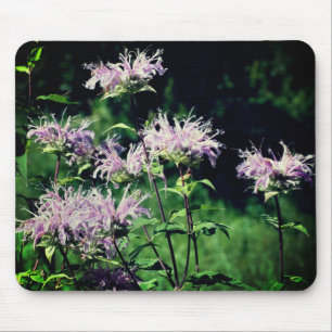 Mousepad Flores De Boca Roxa