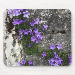 Mousepad Flores de Campanula Crescendo em uma Parede