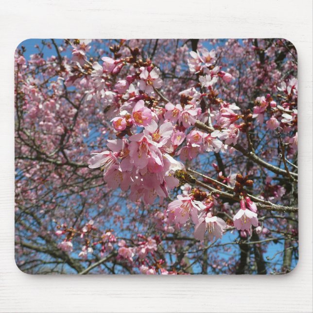 Mousepad Flores de Cereja e Flores Rosa de Abelha (Frente)