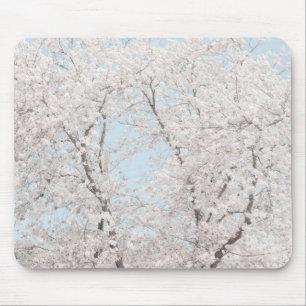 Mousepad flores de cerejeira