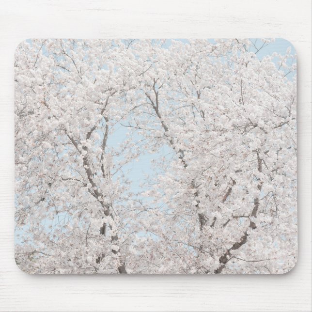 Mousepad flores de cerejeira (Frente)