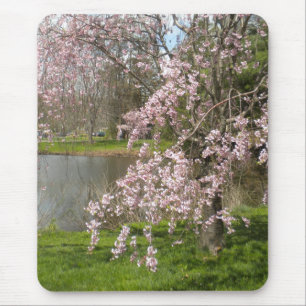 Mousepad Flores De Cerejeira Do Pad Do Rato De Água