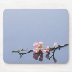 Mousepad Flores de cerejeira na água