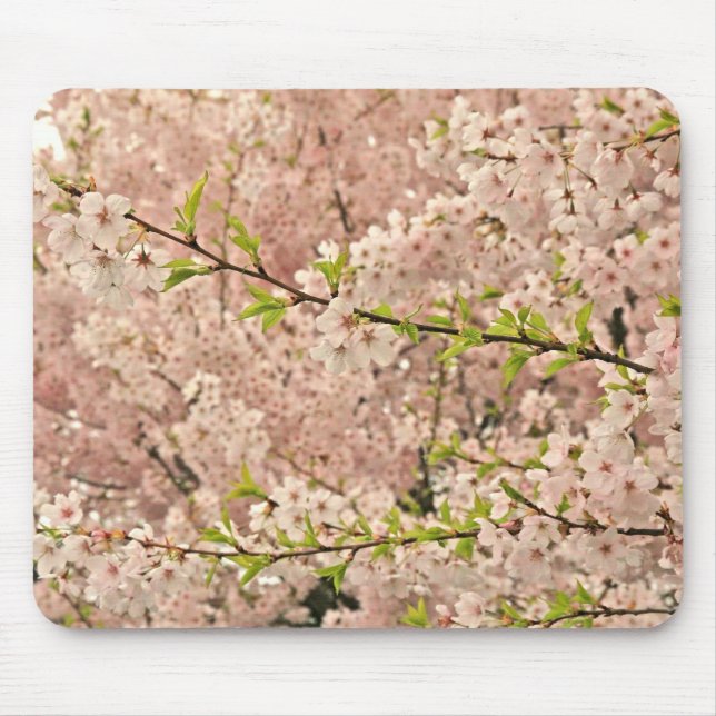 Mousepad Flores de cerejeira no primavera (Frente)