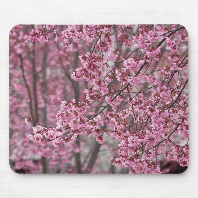Mousepad Flores de Cerejeira Sakura Cor-de-Rosa Fluindo (Frente)