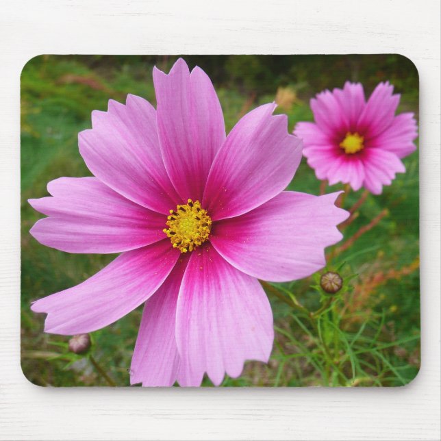Mousepad Flores de Cosmos Rosa Flores Selvagens (Frente)