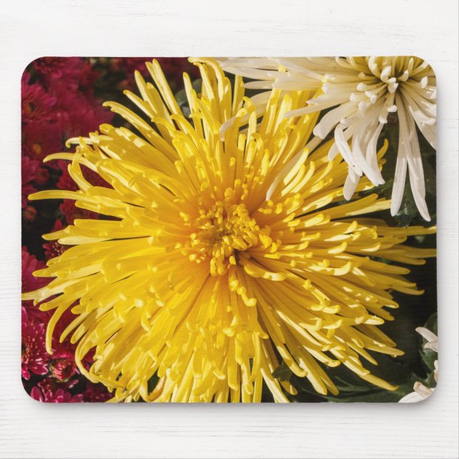 Mousepad Flores de crisântemos (Frente)