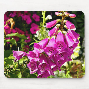 Mousepad Flores de Dedaleira Rosa