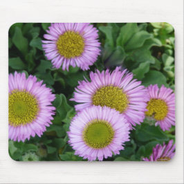 Mousepad Flores de Erigeron de Lavanda bonito