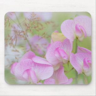 Mousepad Flores de Ervilha Doce   Seabeck, WA