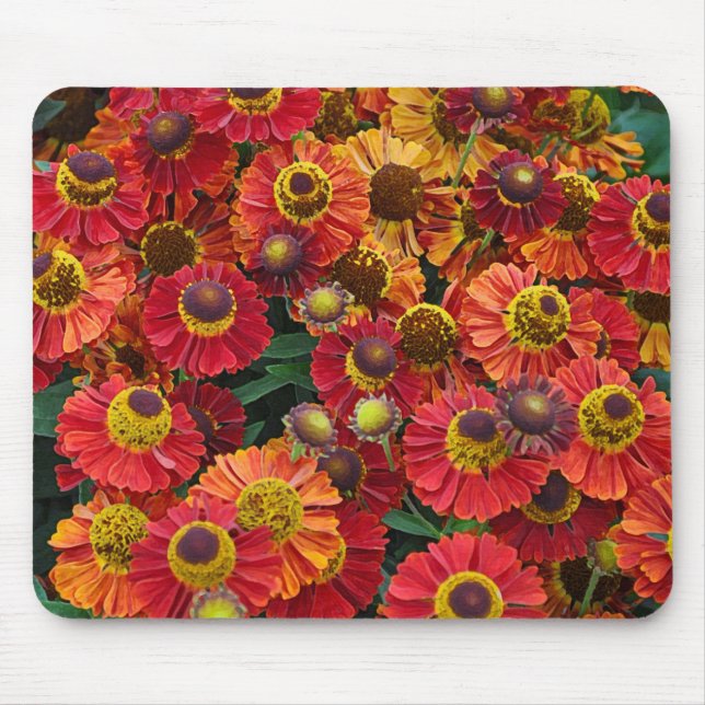 Mousepad Flores de hélio vermelho e laranja (Frente)
