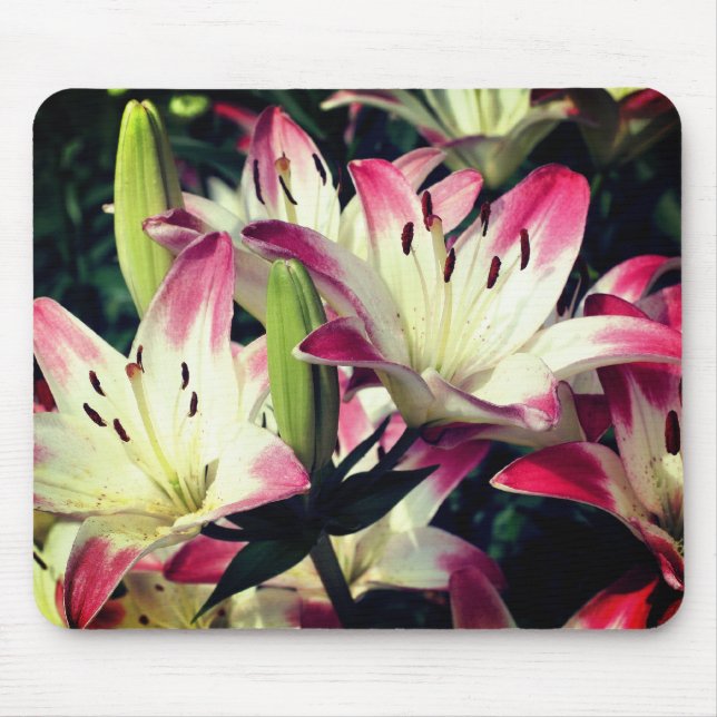 Mousepad Flores de Lily Sorridentes (Frente)