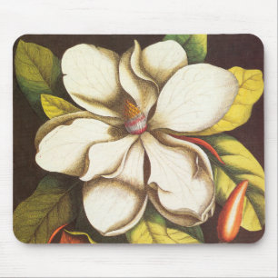 Mousepad Flores de Magnólia Vintage com Sementes