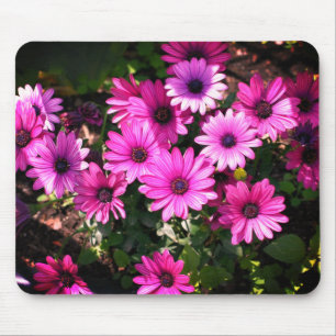 Mousepad Flores de margarida africanas roxas