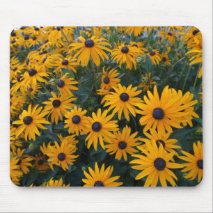 Mousepad Flores de margarida amarela.