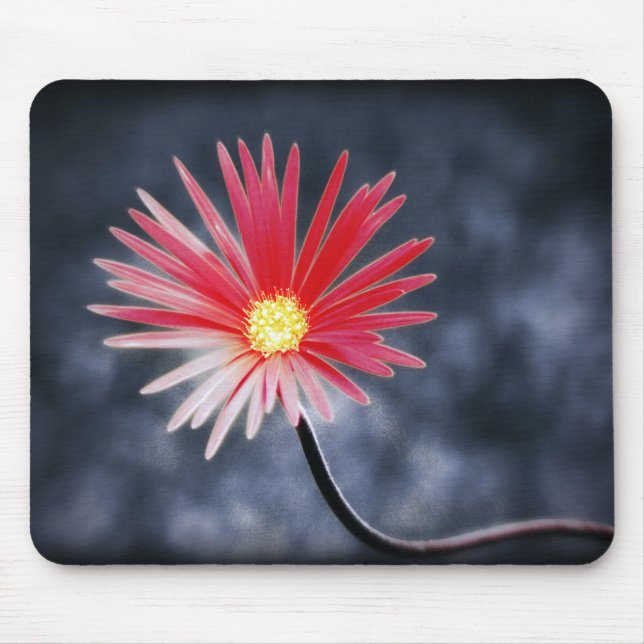 Mousepad Flores de Margarida Vermelha Vintage (Frente)