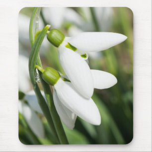 Mousepad Flores de neve